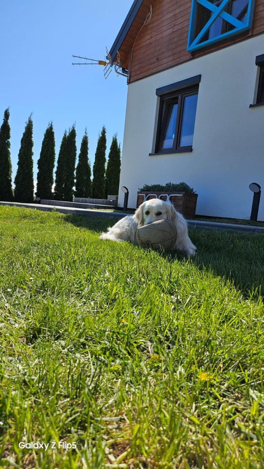 Domki U Sieronia Mielenko Dış mekan fotoğraf